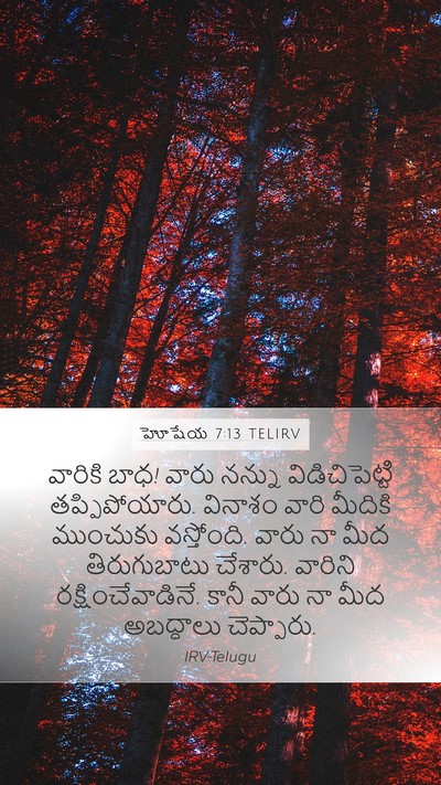 హోషేయ 7:13 TELIRV Bible Verse Image