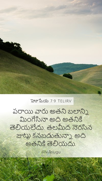 హోషేయ 7:9 TELIRV Bible Verse Image