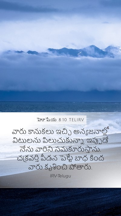 హోషేయ 8:10 TELIRV Bible Verse Image