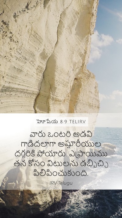 హోషేయ 8:9 TELIRV Bible Verse Image