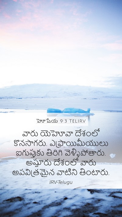 హోషేయ 9:3 TELIRV Bible Verse Image